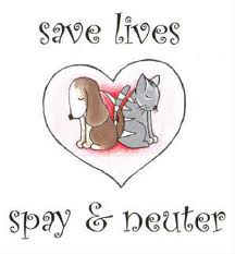Picture that says Save Lives Spay and Neuter.